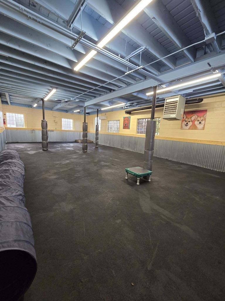 Transforming Mac's Pet Depot BARk Park with Dryfall Painting Services