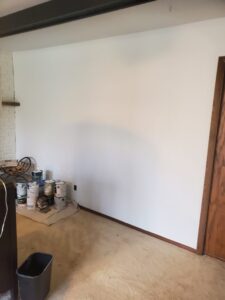 Skimmed panel walls, sanded texture, and finished with 2 coats of Super Paint.