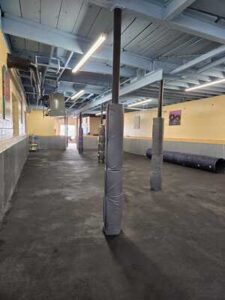 Sprayed Dryfall On a Exposed Cieling at a Dog Bar